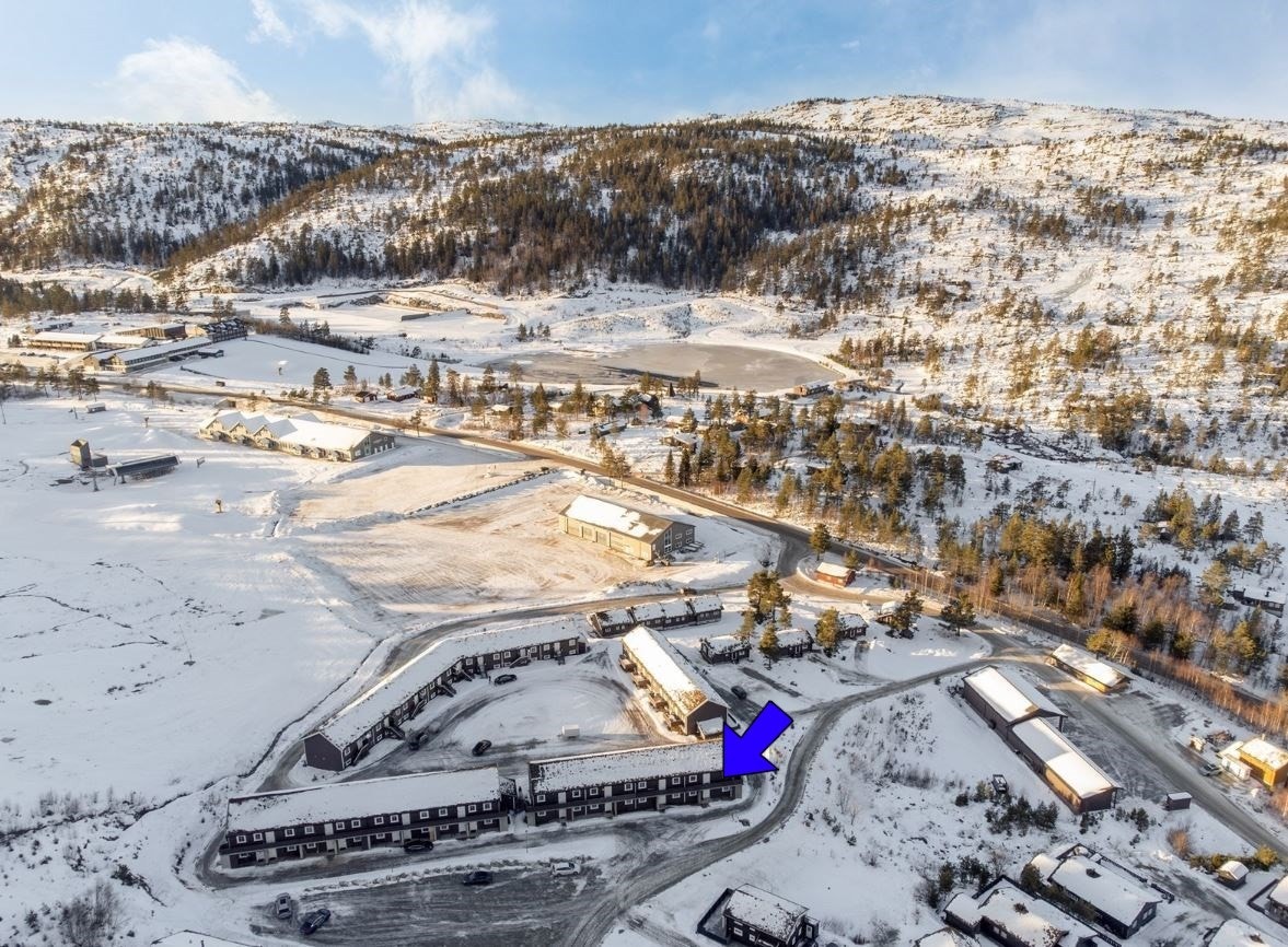 Alpinanlegget er et av Telemarks største alpinanlegg (heiskapasitet) som tilbyr topp forhold for alle kategorier snøelskere: Telemarkskjørere, snowboardere, alpinister og langrennsentusiaster. Skisenteret har også et stort servicebygg. Galleribilde