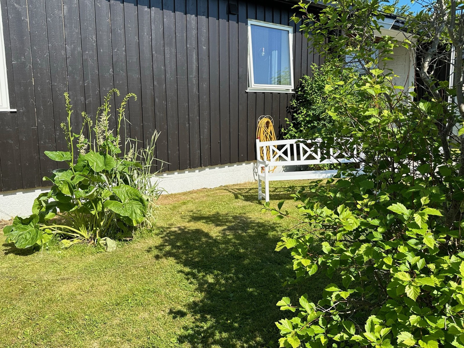 Privat sommerbilder tatt av selger