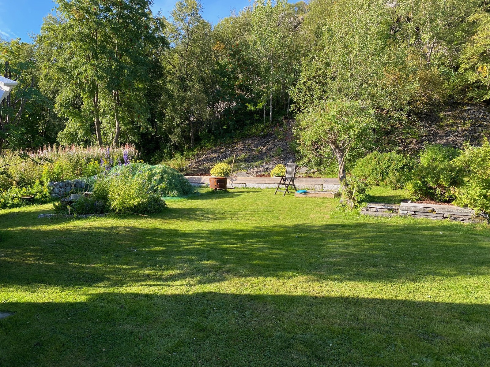 Privat sommerbilder tatt av selger