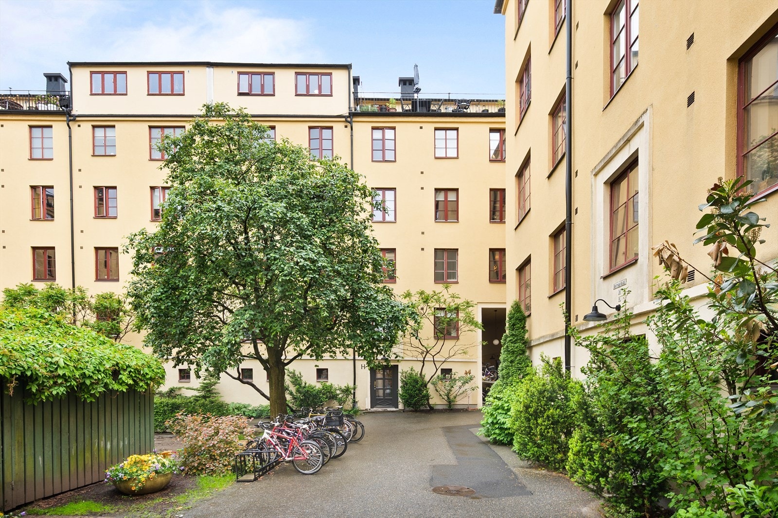 Idyllisk og frodig bakgård. Galleribilde