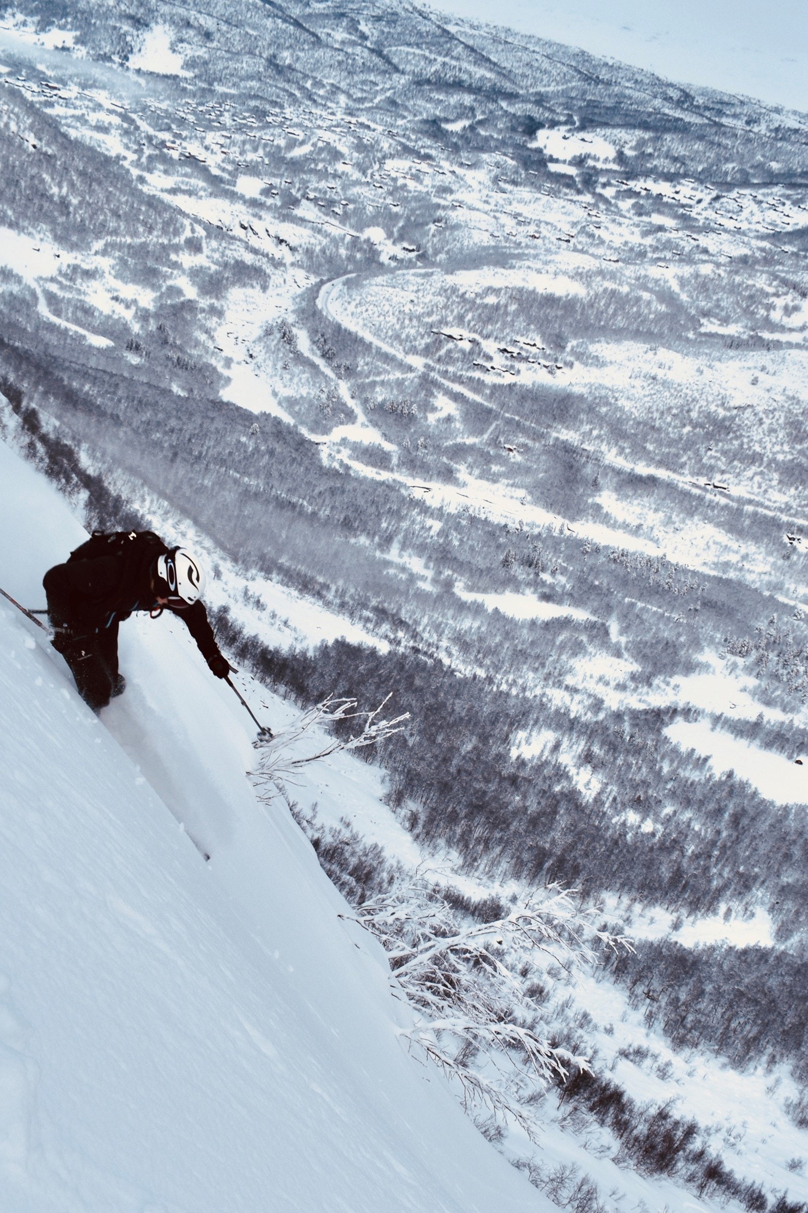 Rikelig med pudder kjøring. Galleribilde