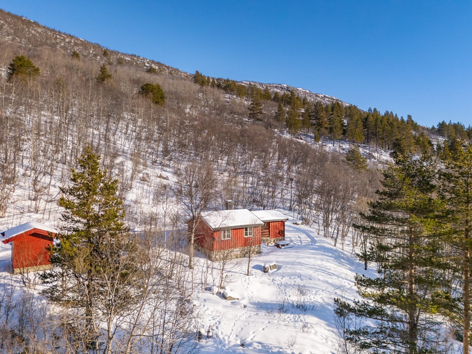 Innerst og øverst for seg selv. Galleribilde