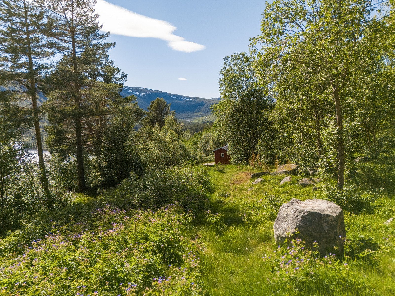 Noe av det nærområdet kan by på - Aktiviteter for både store og små. Galleribilde