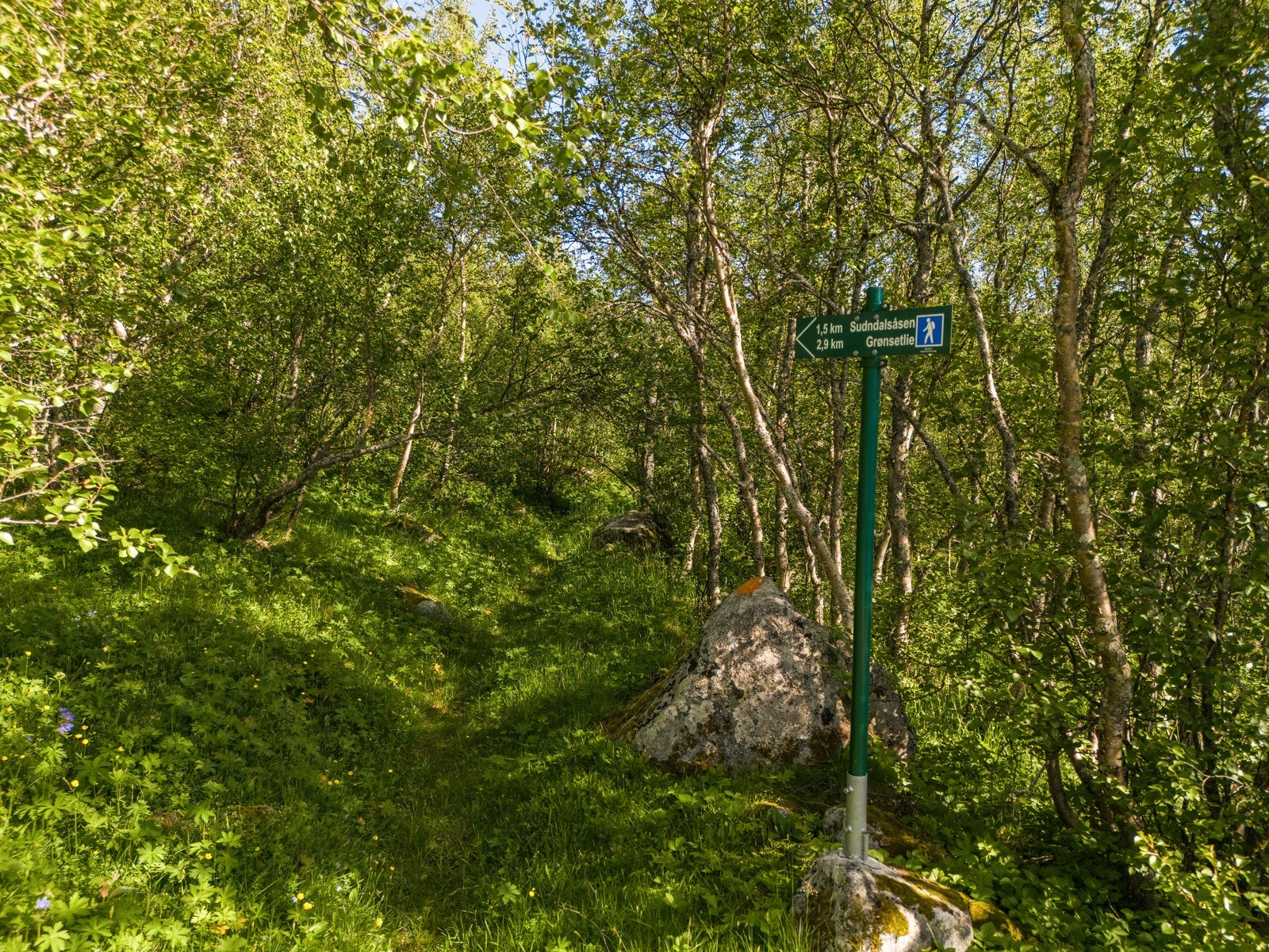 Noe av det nærområdet kan by på - Aktiviteter for både store og små. Galleribilde
