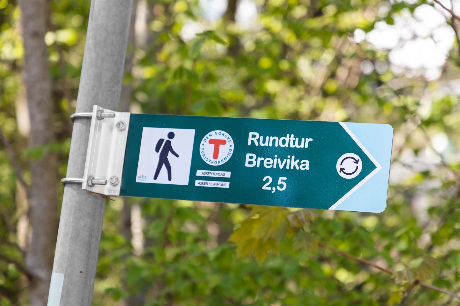 Flotte turmuligheter rett utenfor døren Galleribilde