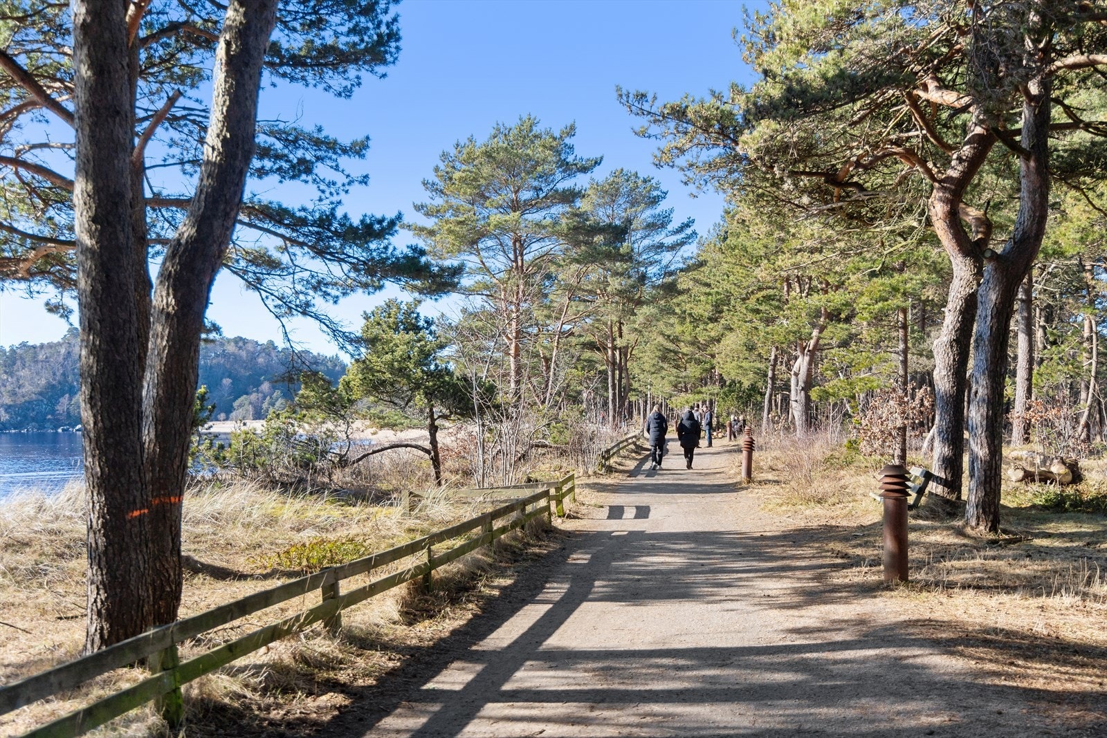 Furulunden er et sammenhengende friområde på rundt 1400 dekar, med stier, svaberg, furuskog og sandstrender og er kåret til et av Norges fineste turområder. Galleribilde