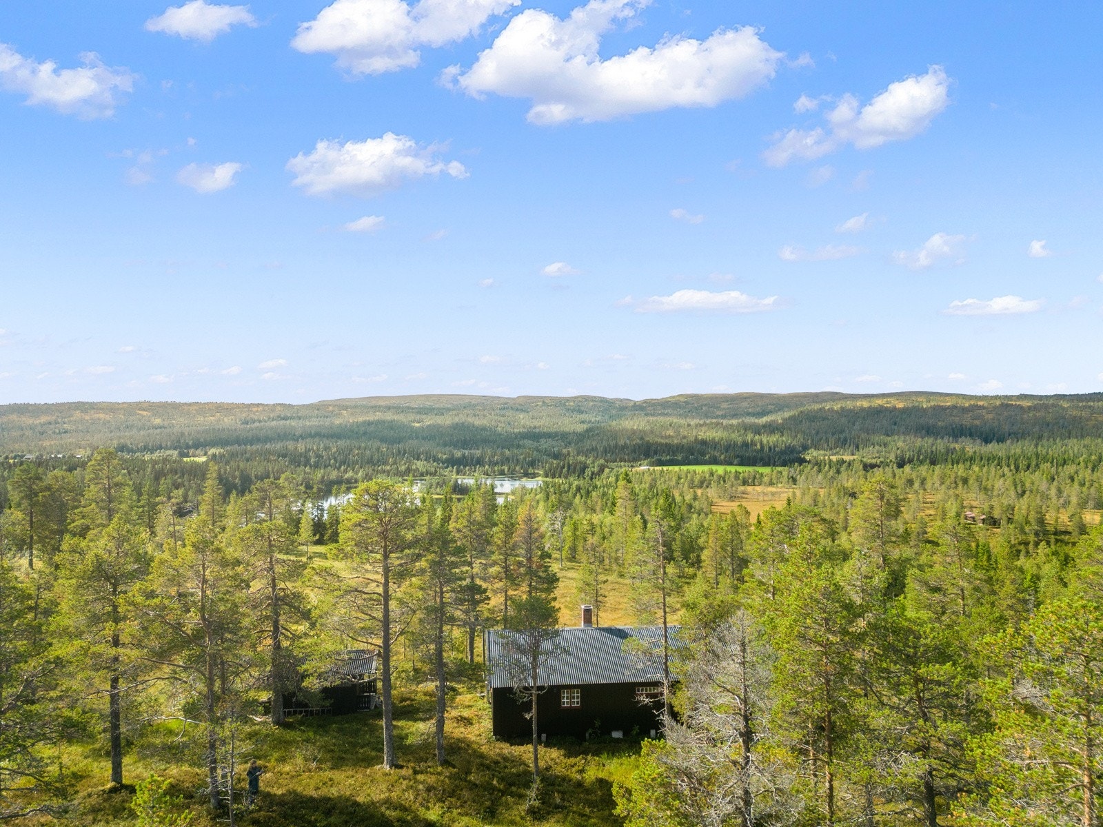 Velkommen til Nord-Vera 21 - en flott famliehytte i ett fantastisk fjellområde og turterreng. Galleribilde