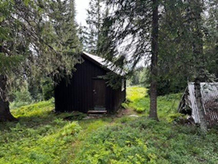 Framsætra Galleribilde