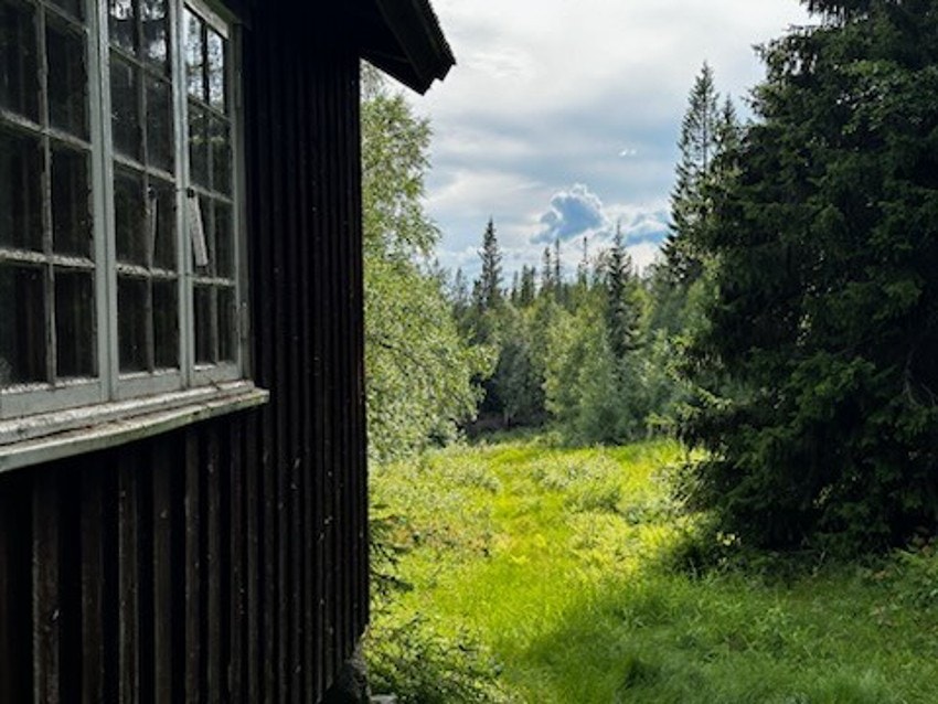 Framsætra Galleribilde