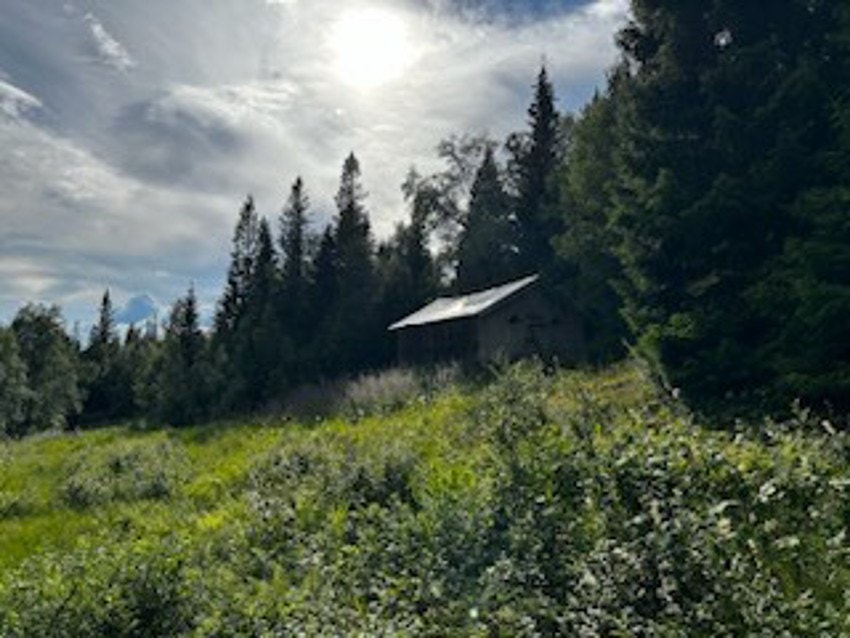 Framsætra Galleribilde