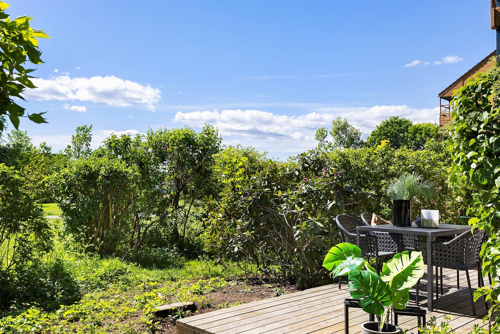 Fra terrassen Galleribilde