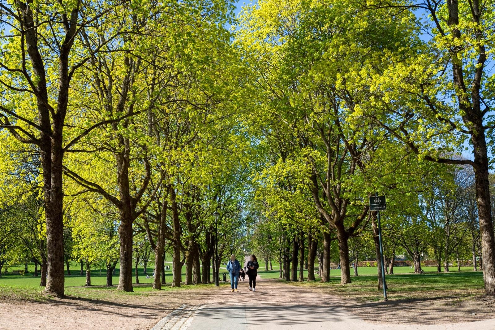 Frognerparken Galleribilde