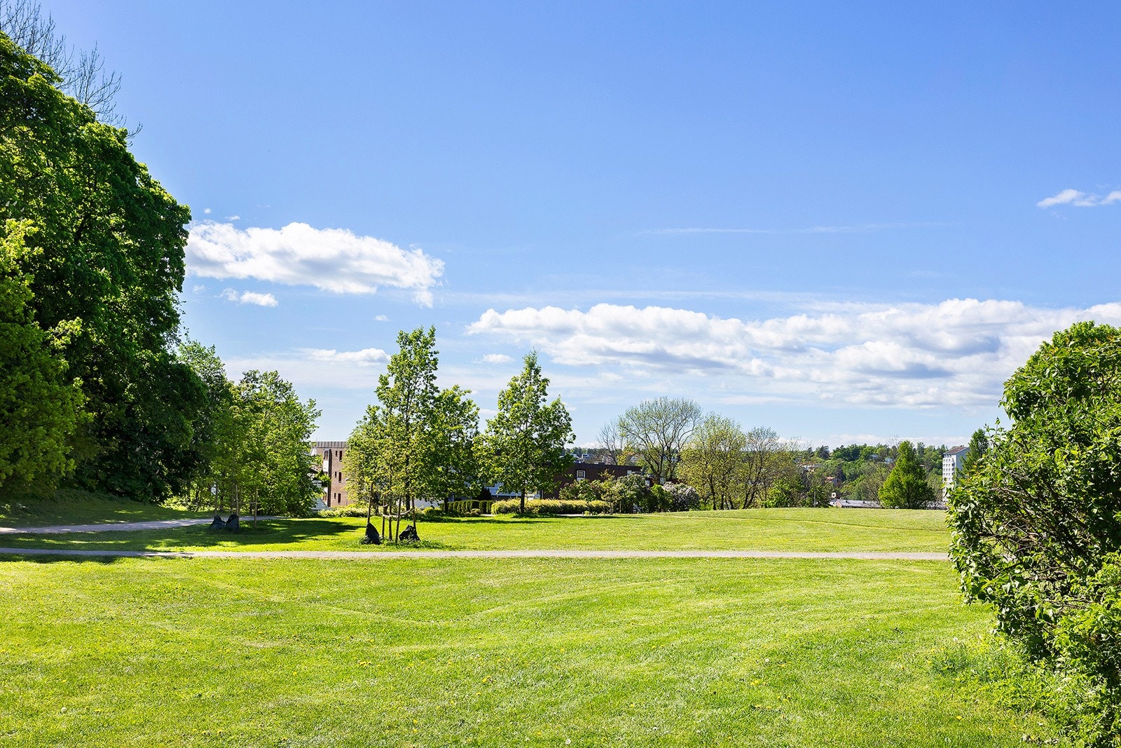 Omradebilde Galleribilde