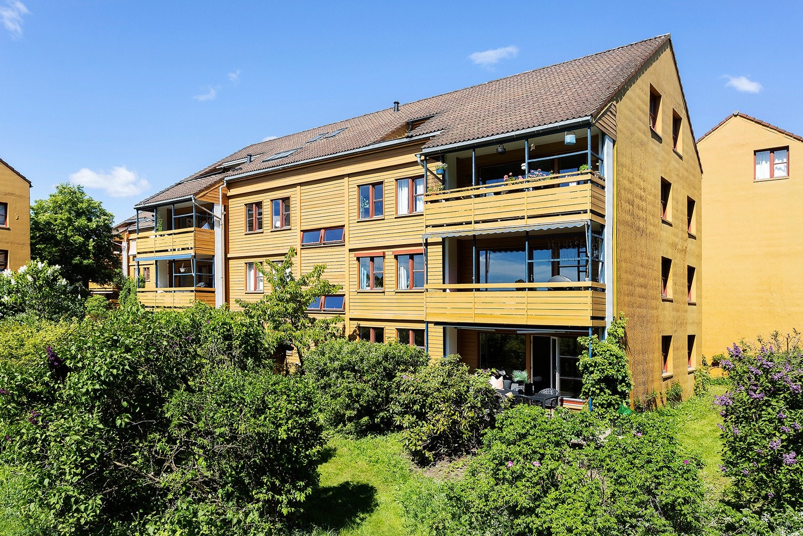 Omradebilde Galleribilde