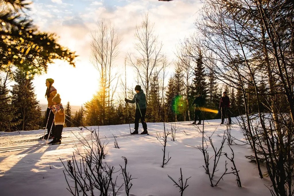 hoghaugen-ski-familie-1024x683.jpg Galleribilde