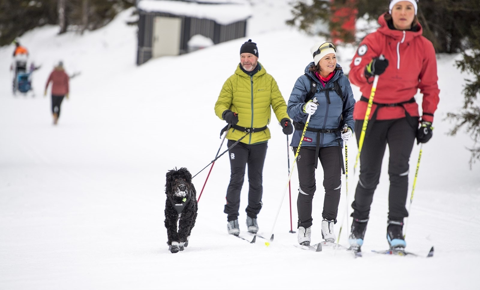 Langrennsløyper for store, små og firbeinte venner Galleribilde