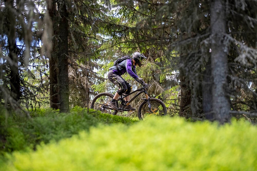 Tur ut i marka rett fra tomten.jpg Galleribilde