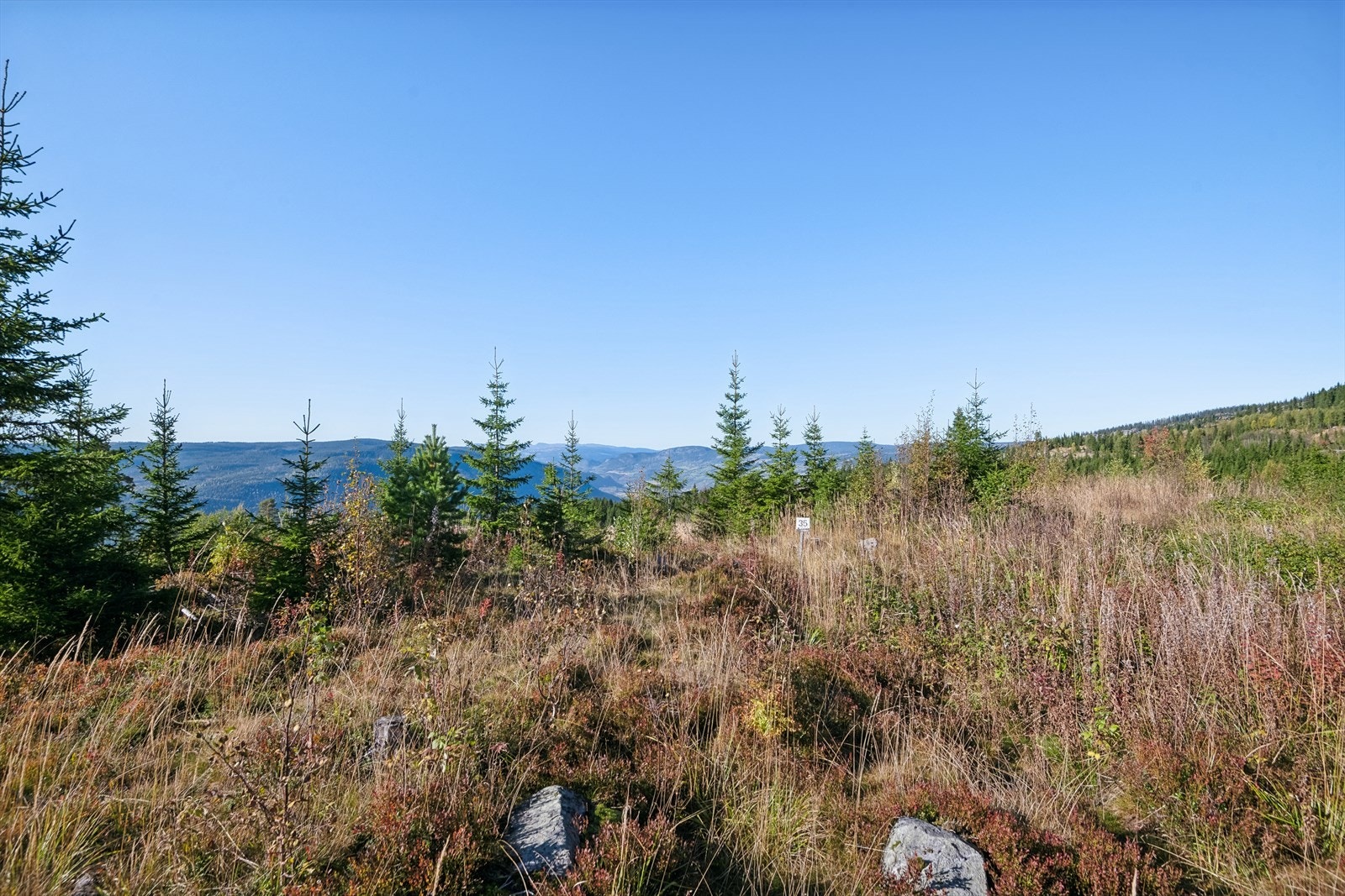 Tomt 35 Galleribilde