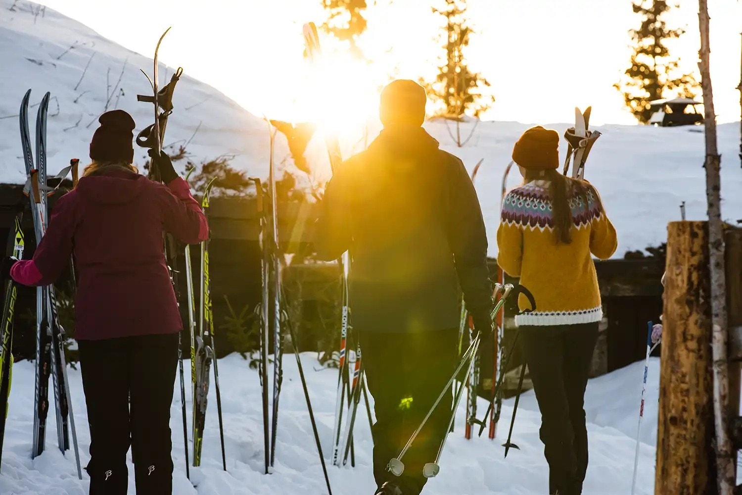 hoghaugen-sol.jpg Galleribilde