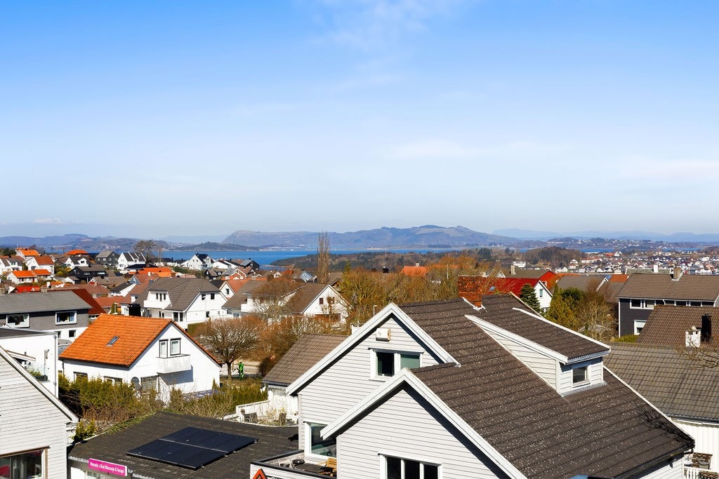 Utsikt Galleribilde