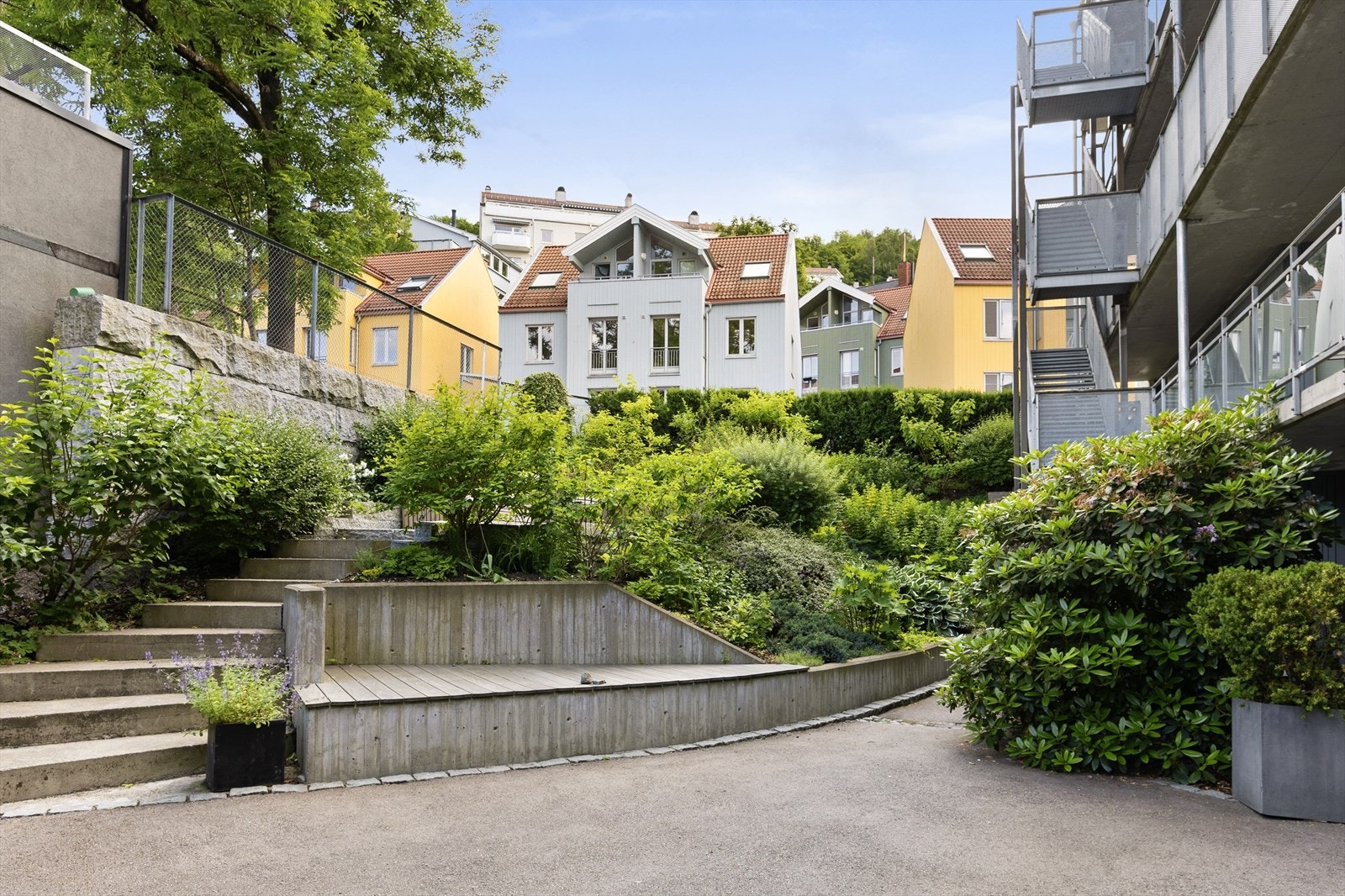 Koselig bakgård med frodig beplantning. Galleribilde