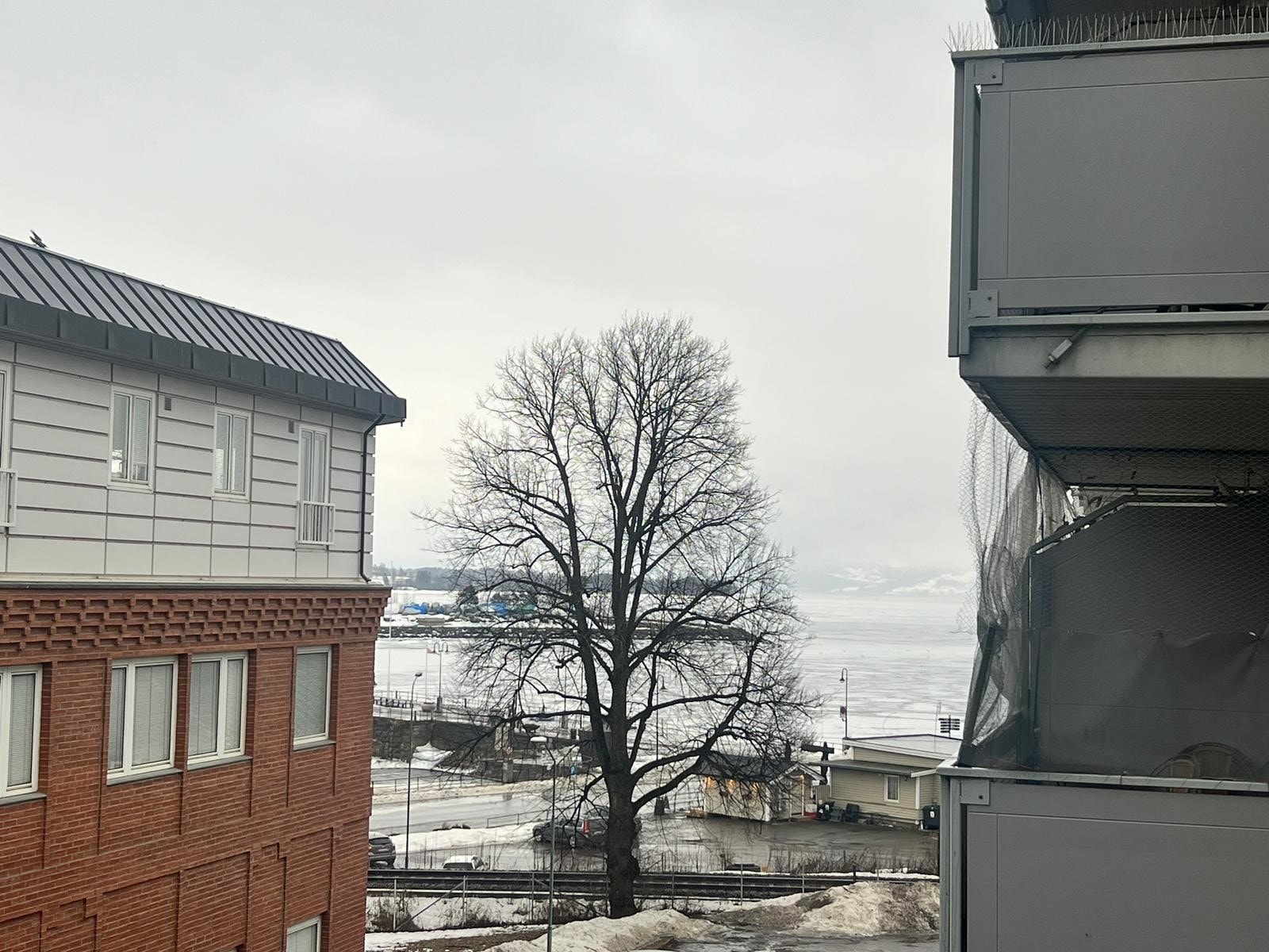 Mjøsgløtt fra balkongen Galleribilde