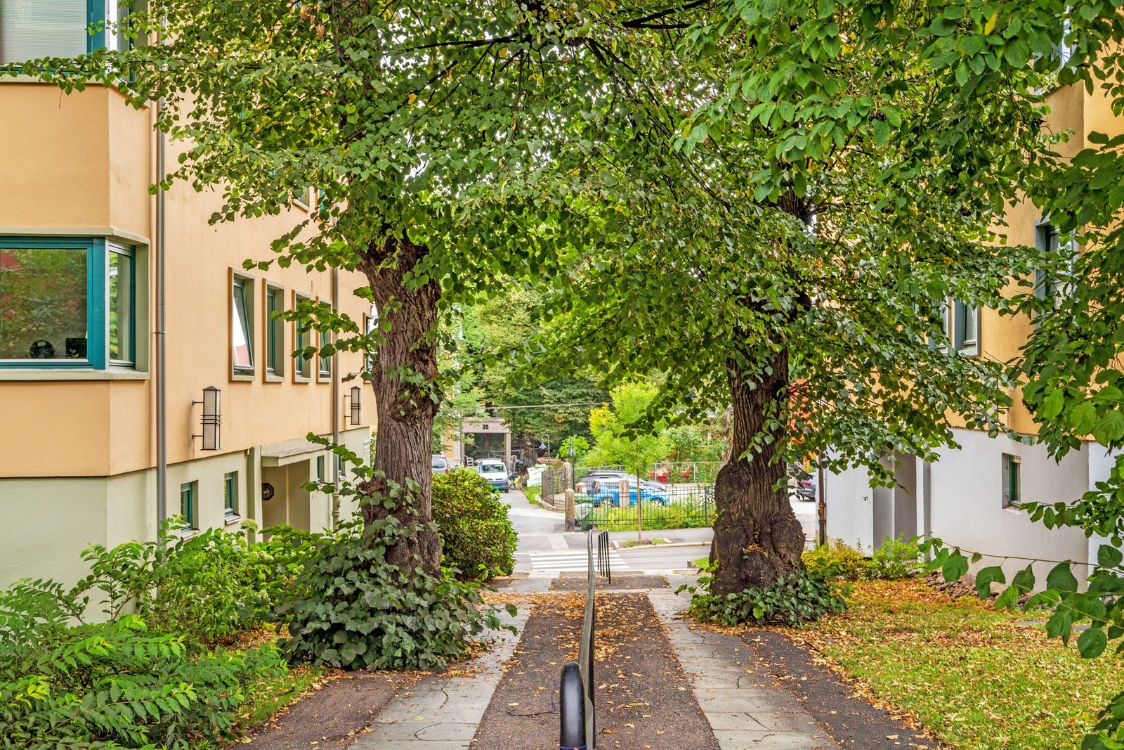 Velkommen til visning! Galleribilde