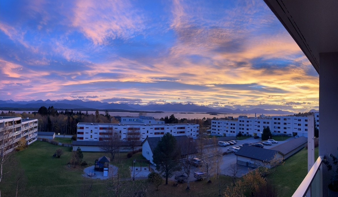 Selgers utsiktsbilde Galleribilde