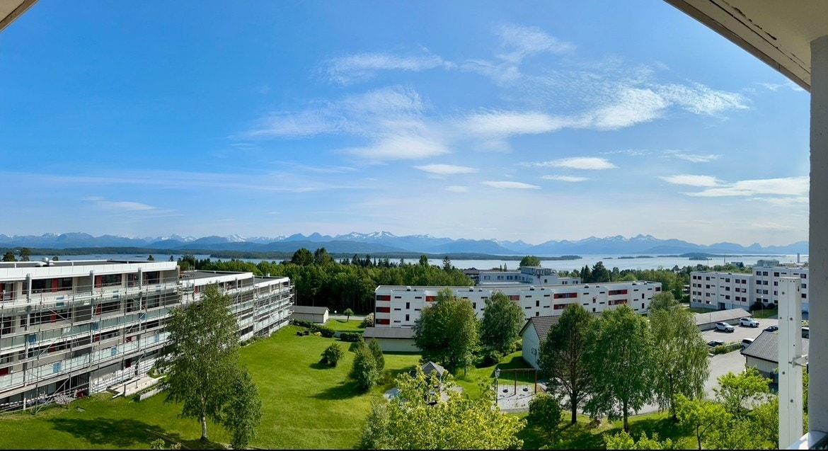Selgers utsiktsbilde Galleribilde