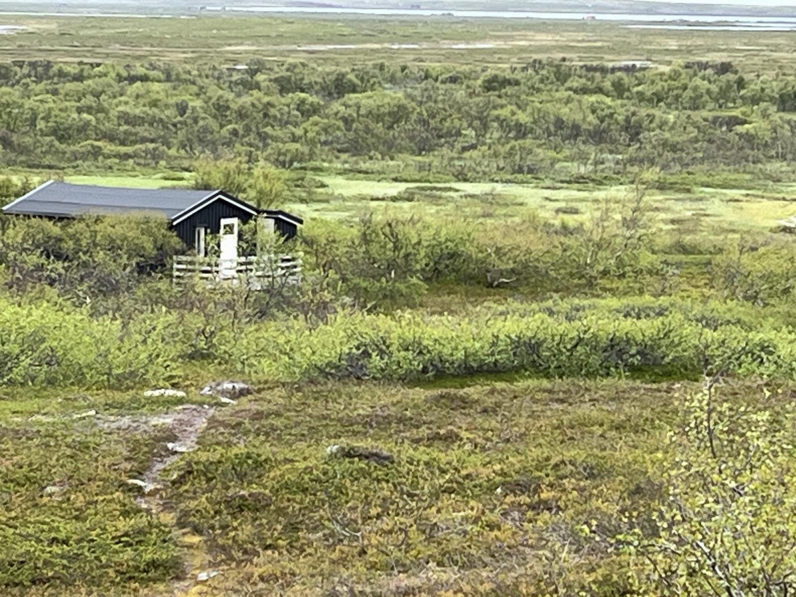 Hytta ligger fritt til langt fra andre hytter Galleribilde