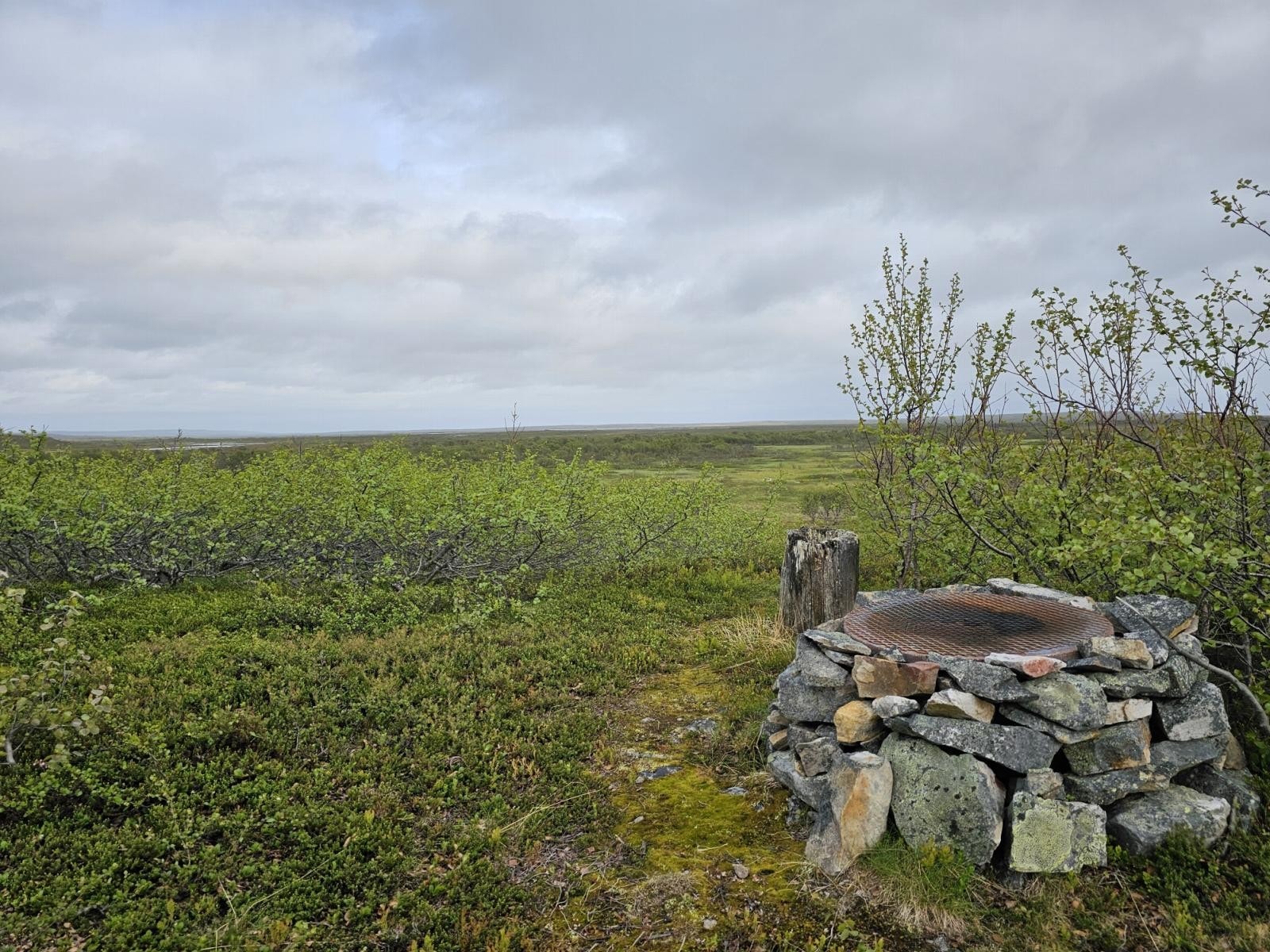 Området Galleribilde