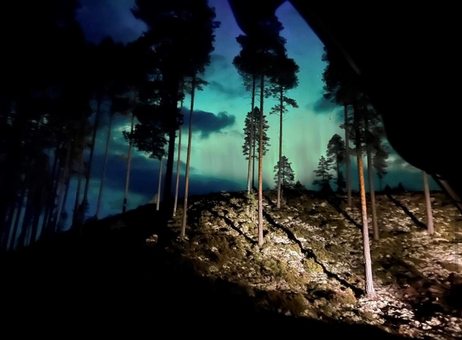 Stemningsbilder fra selger Galleribilde