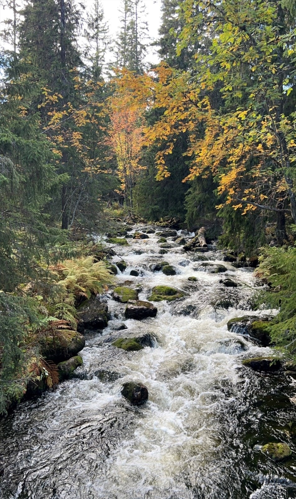 Stemningsbilder fra selger Galleribilde