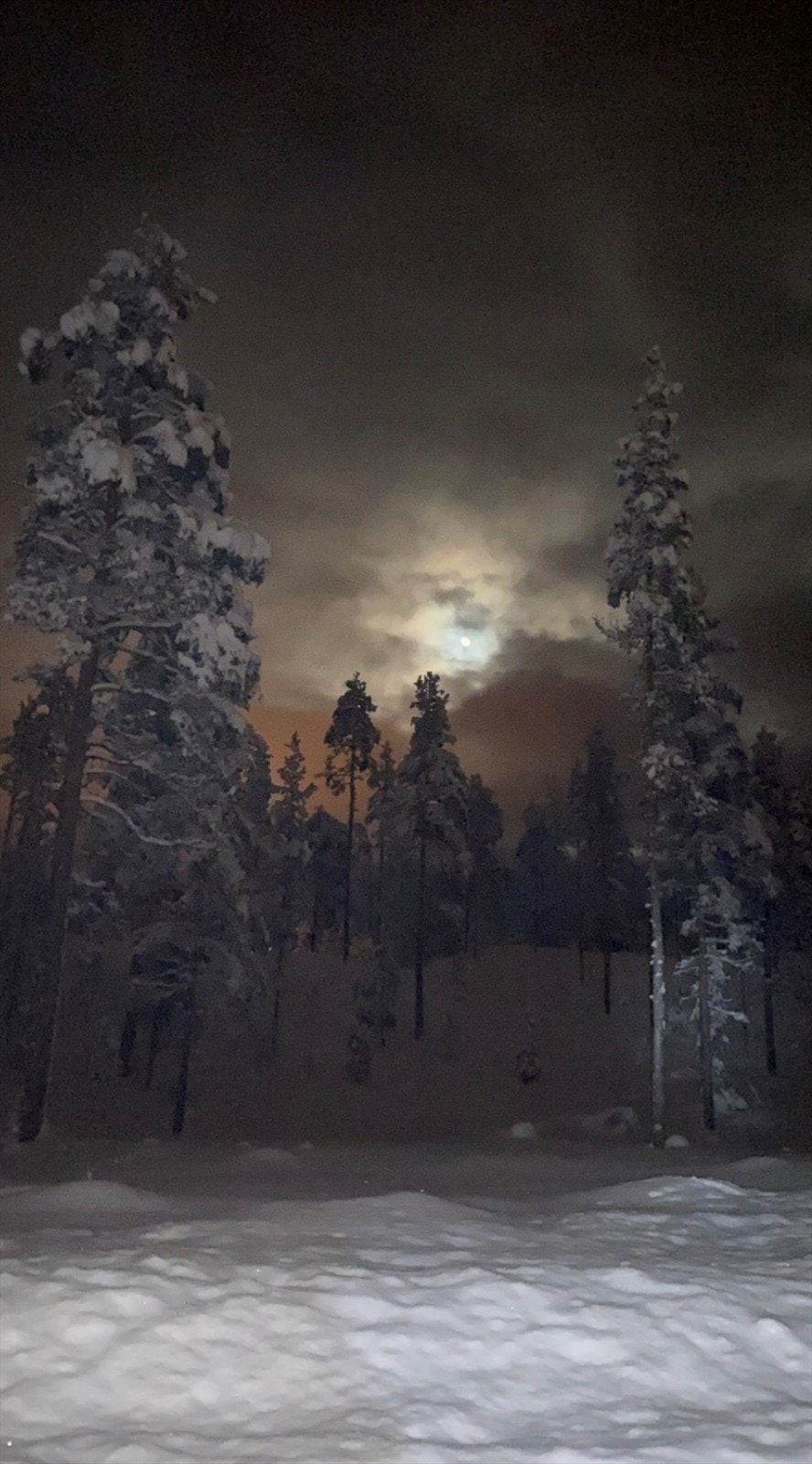 Stemningsbilder fra selger Galleribilde