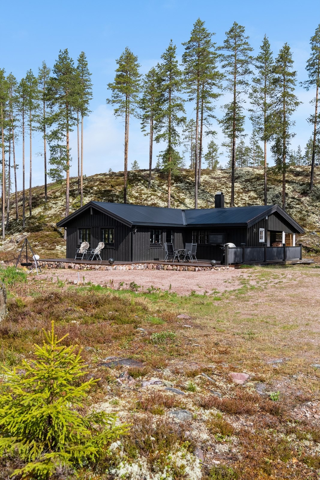 Velkommen til Hoelskogen 75 i Ljørdalen! Galleribilde