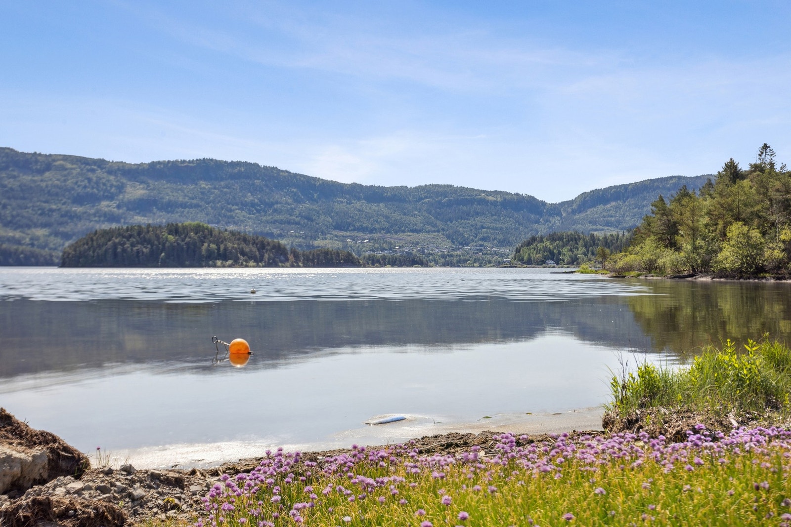 Nyt et herlig bad i Steinsfjorden fra egen strandlinje. Galleribilde
