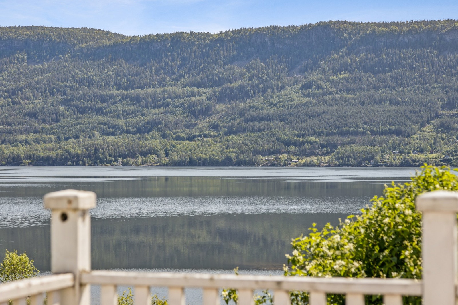 Sjekk utsikten! Galleribilde