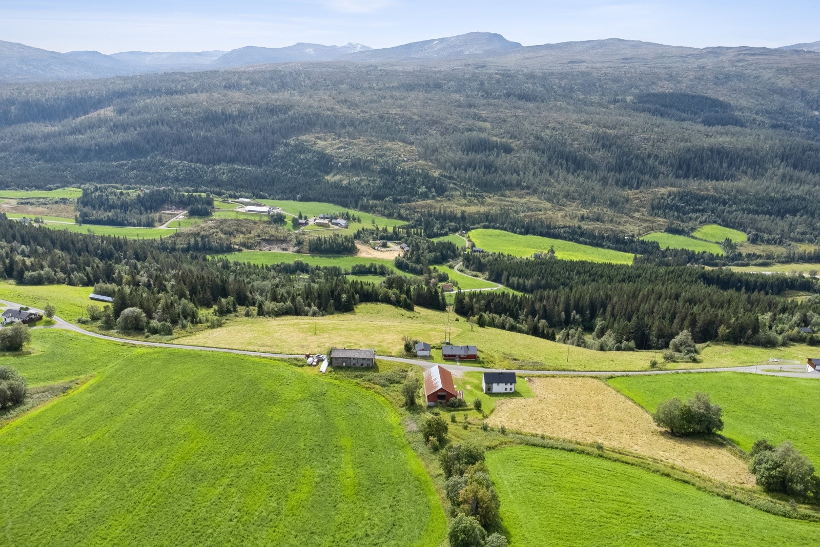 Gårdstun Galleribilde