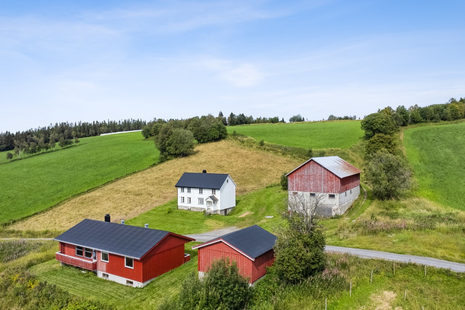 Gårdstun Galleribilde