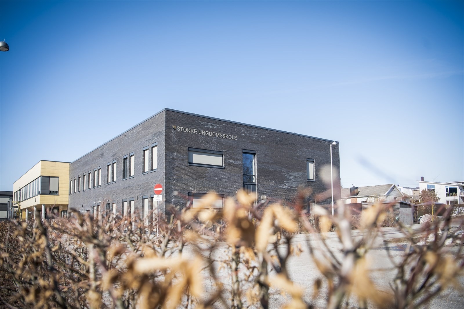- Nærområde - Galleribilde
