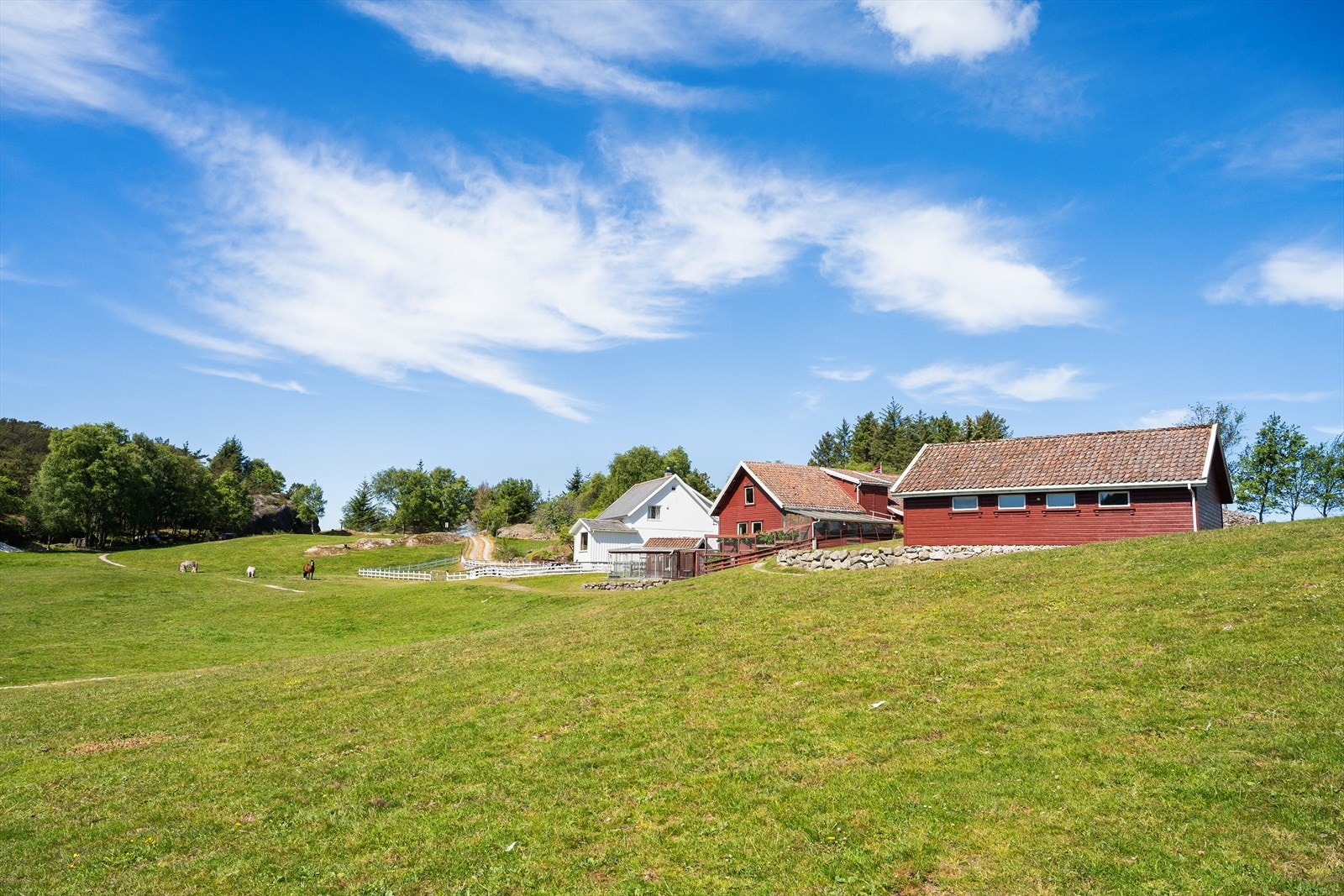 Velkommen til visning! Galleribilde