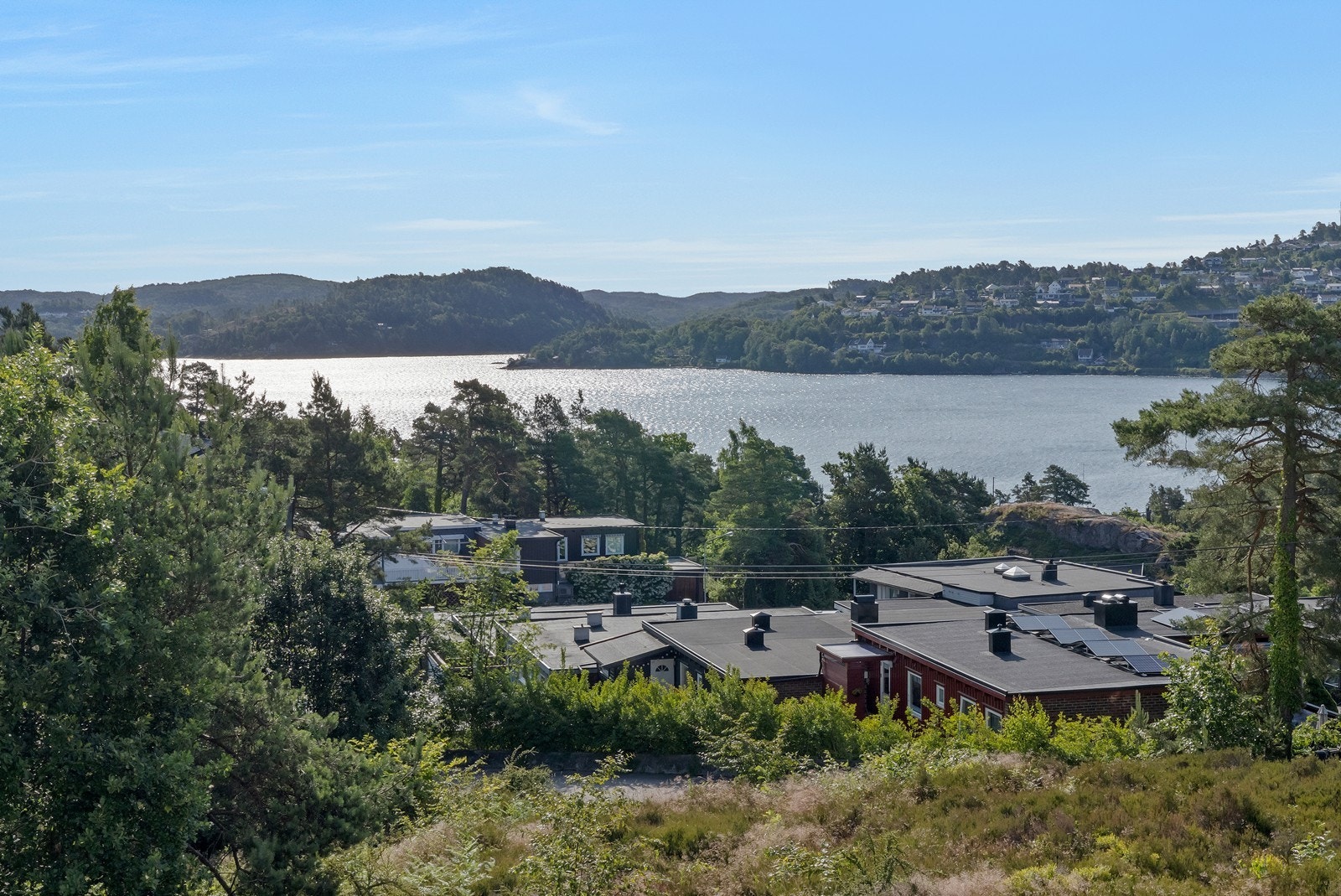 Utsikt. Galleribilde