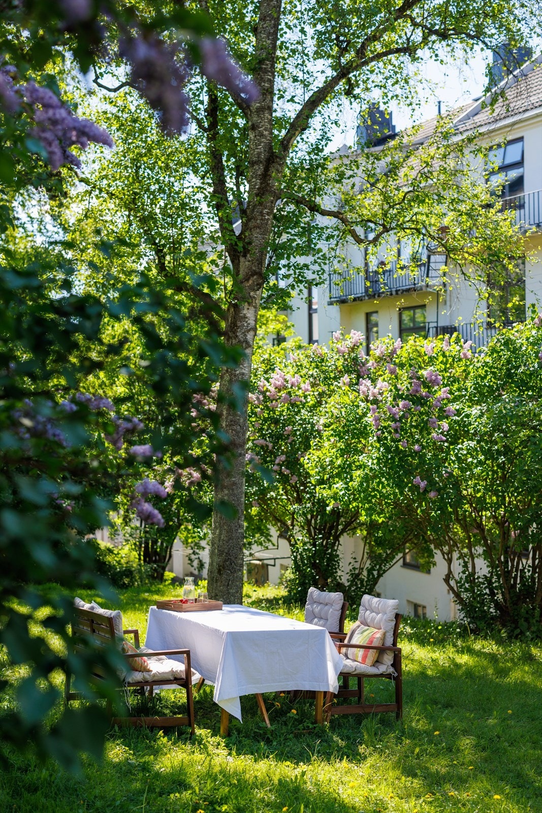 Bakgård Galleribilde