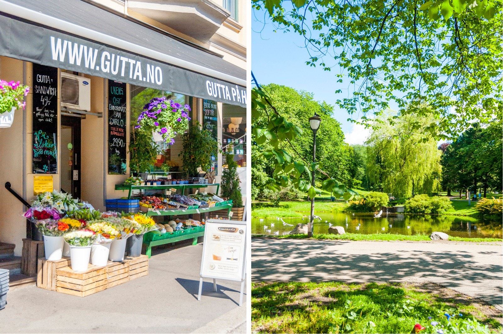 Gutta på haugen tilbyr matvarer med høy kvalitet Galleribilde