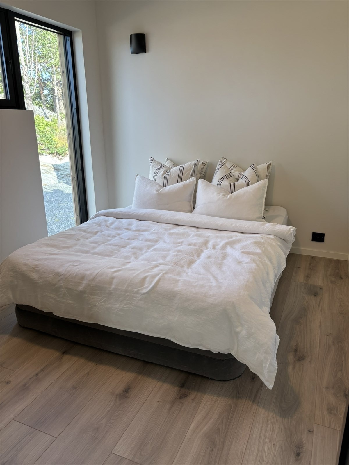 Store vinduer som gir rikelig med naturlig lys Galleribilde