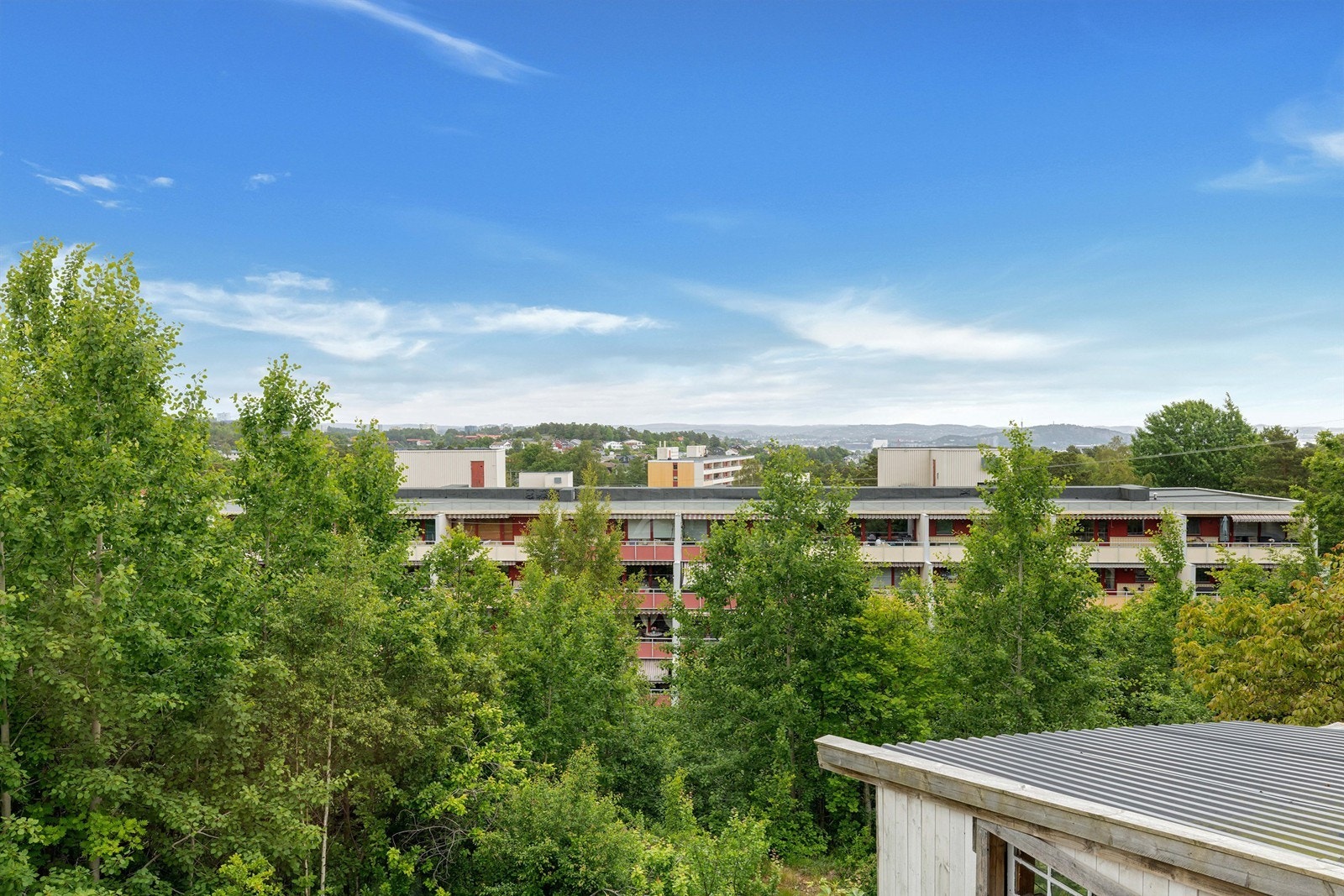 Naturlige omgivelser med mye skog og grønt rundt eiendommen. Galleribilde
