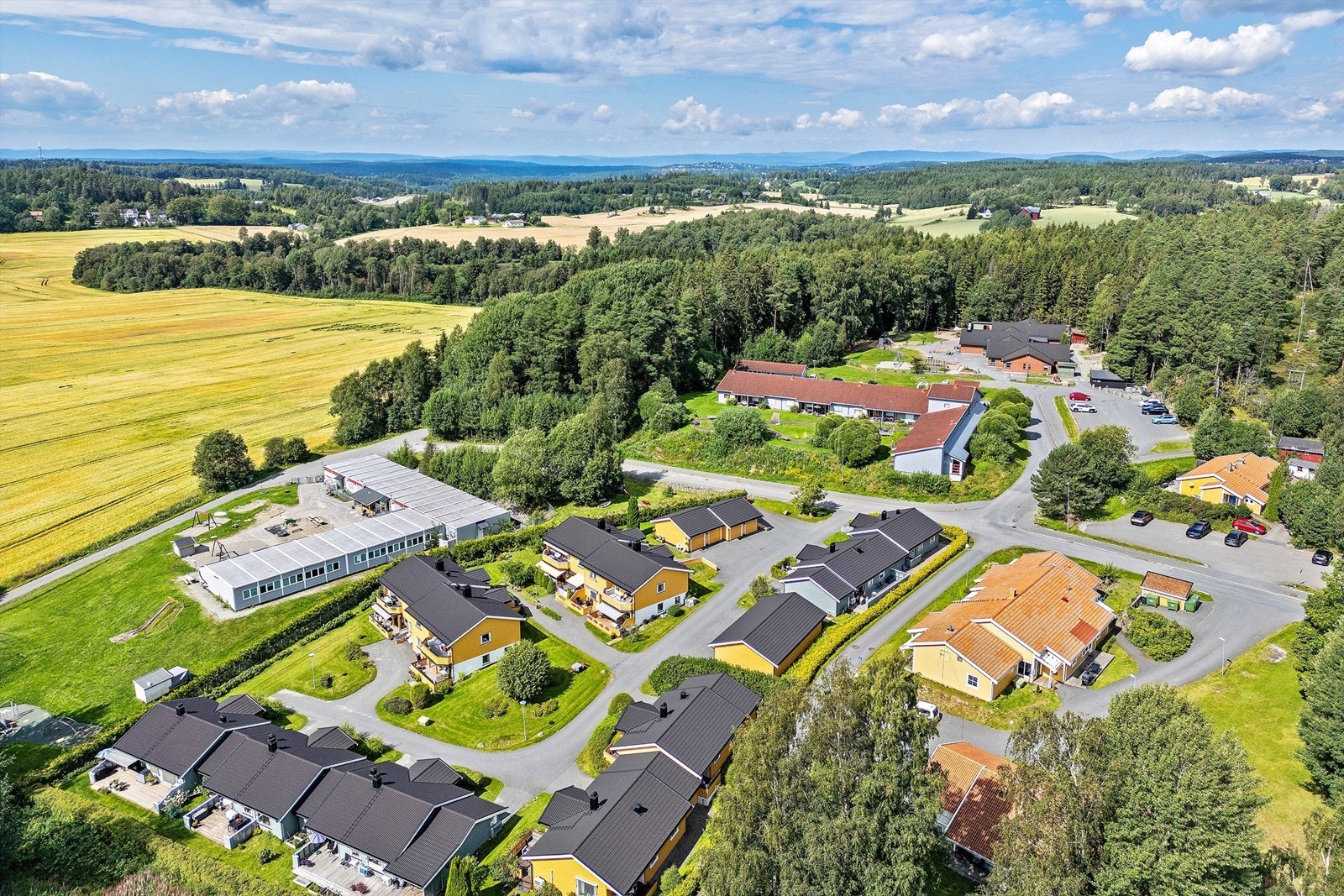 Felles tomt med asfalterte internveier, gressplen, trær, prydbusker og diverse beplantning Galleribilde