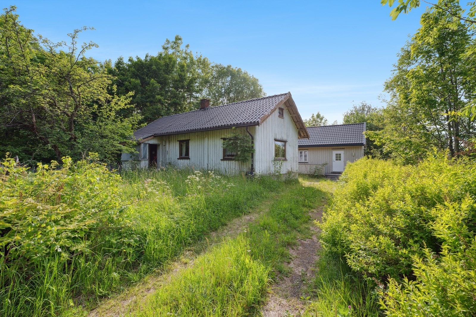 Innkjøring til eiendommen. Galleribilde