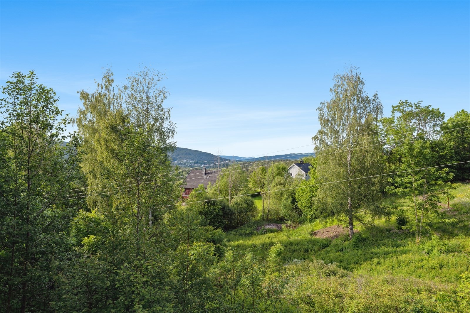 Utsikten Galleribilde