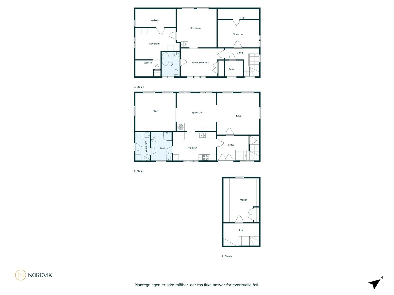 Plantegnign Galleribilde